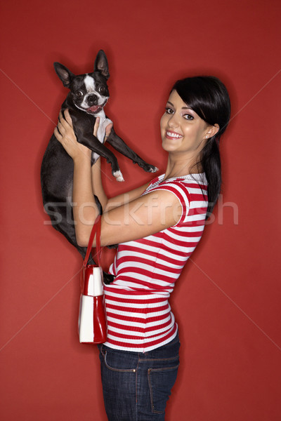 Woman holding Boston Terrier dog. Stock photo © iofoto