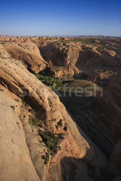 Desert canyon. Stock photo © iofoto
