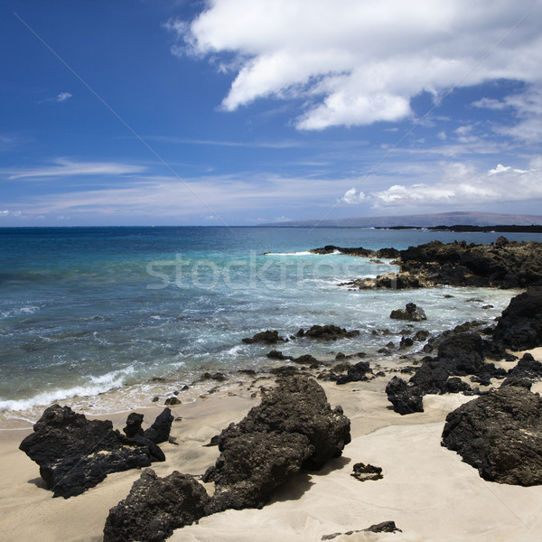 Rocky beach in Maui. Stock photo © iofoto