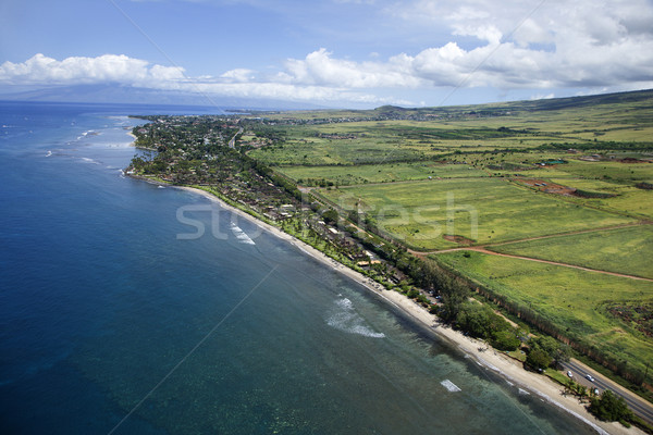 Maui coastline. Stock photo © iofoto