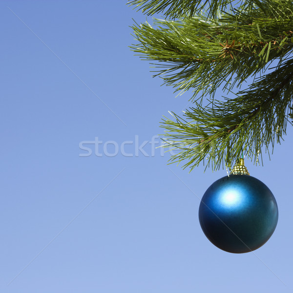 Ornament on tree. Stock photo © iofoto