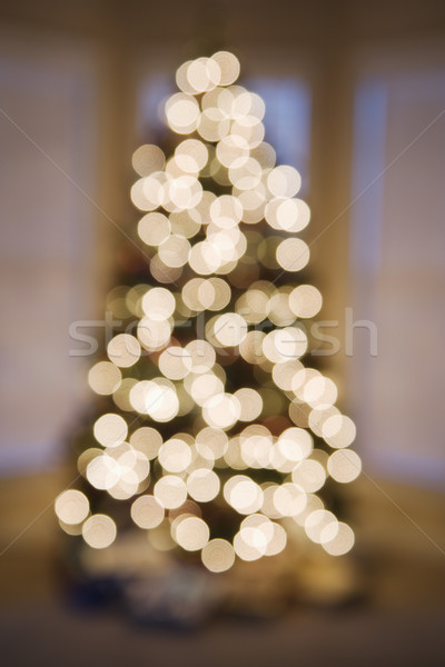 Blurred Christmas lights. Stock photo © iofoto