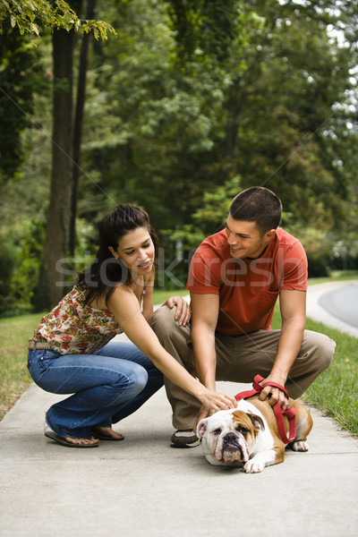 Couple petting dog. Stock photo © iofoto