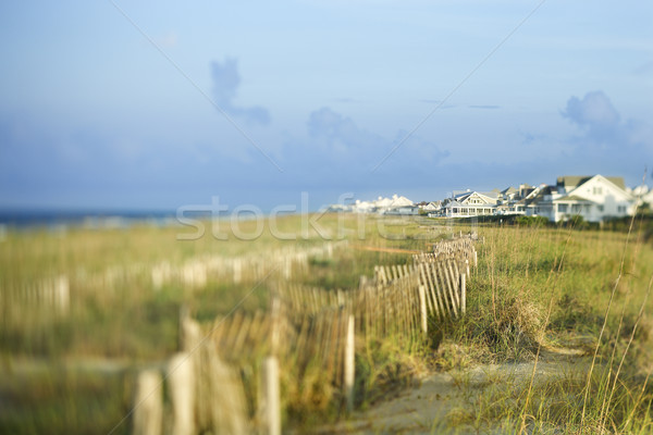 Beachfront houses overlooking ocean. Stock photo © iofoto