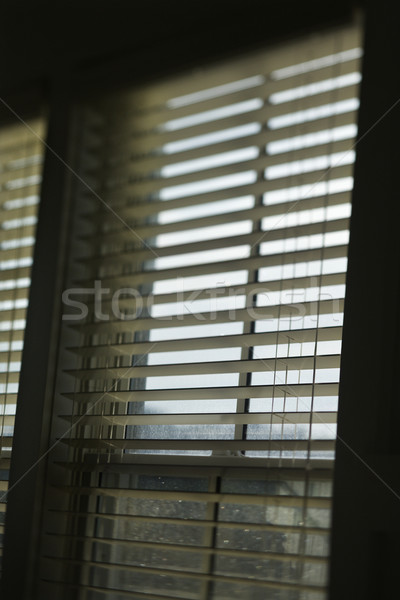 Window with open blinds. Stock photo © iofoto