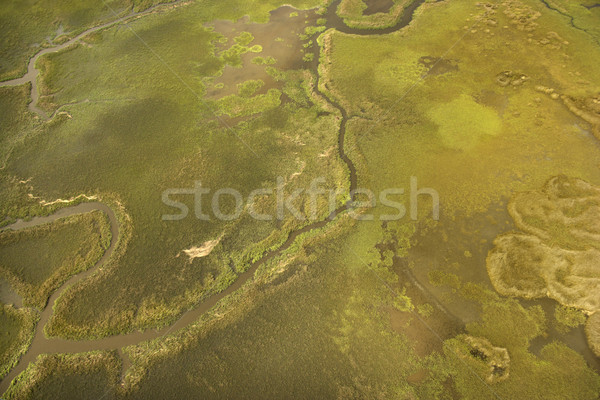 Aerial view of tributary. Stock photo © iofoto