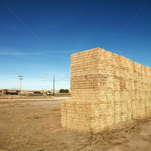 Hay Landschaft Bauernhof Landwirtschaft Platz Stock foto © iofoto