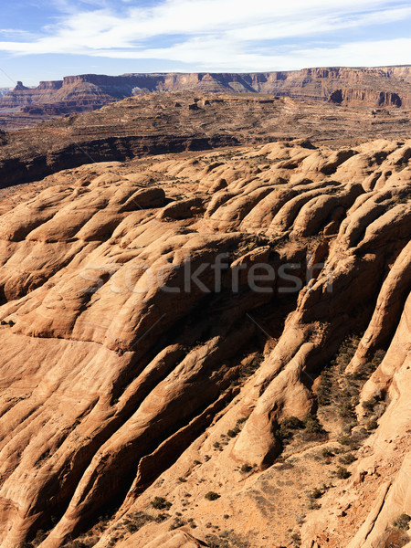 Canyonlands National Park, Moab, Utah. Stock photo © iofoto