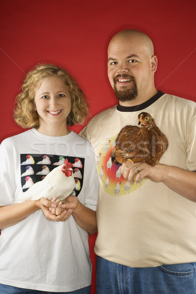 Smiling couple holding chickens. Stock photo © iofoto