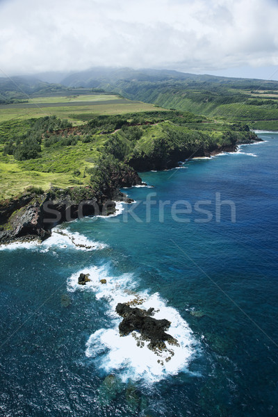 Hawaii coastline. Stock photo © iofoto