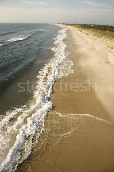 Waves crashing on beach. Stock photo © iofoto