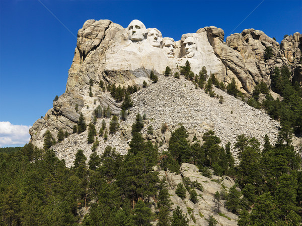 Rushmore hegy hegy fák arc férfiak utazás Stock fotó © iofoto