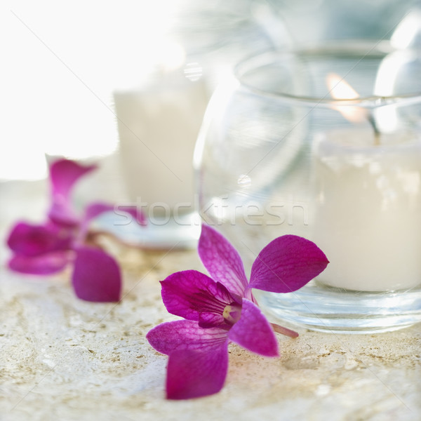 Lit candles and orchids. Stock photo © iofoto