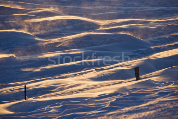 Snow with fence. Stock photo © iofoto