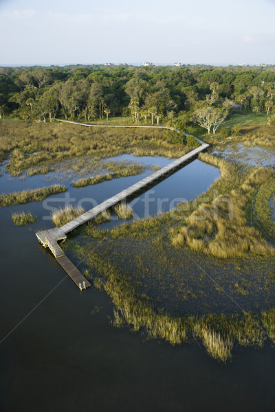 Dock over marsh. Stock photo © iofoto