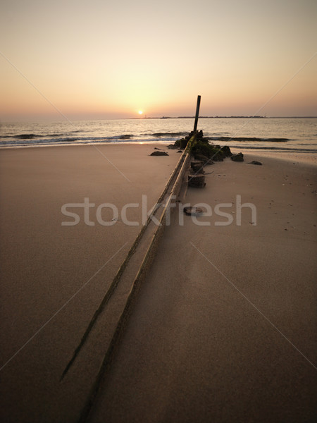 Jetty with sunset. Stock photo © iofoto