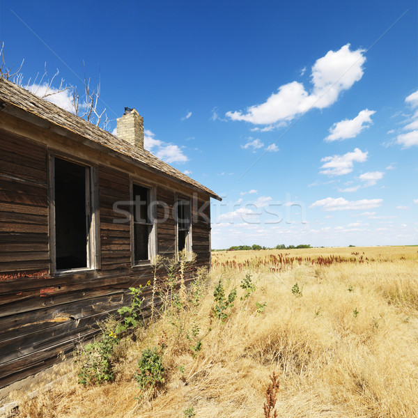 Old building in field. Stock photo © iofoto