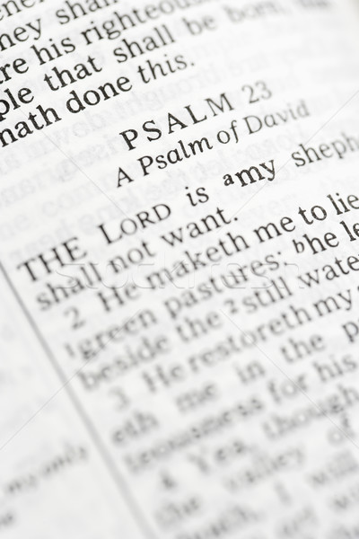 Holy Bible Psalm. Stock photo © iofoto
