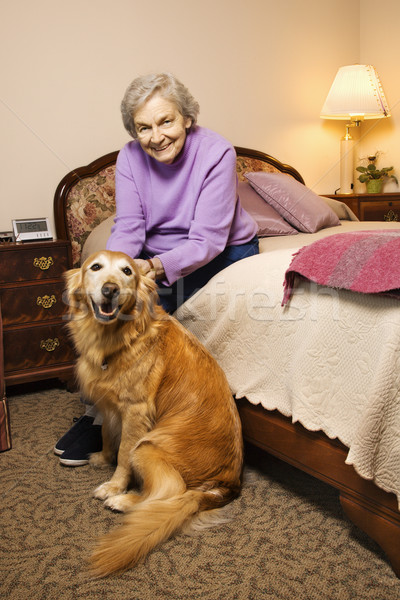 Starsza kobieta psa starszych kobieta sypialni Zdjęcia stock © iofoto