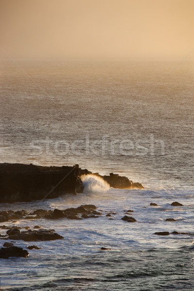 Waves on rocky shore. Stock photo © iofoto