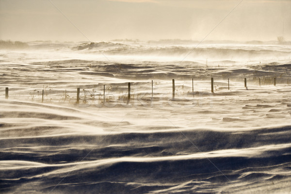 Snow with fence. Stock photo © iofoto