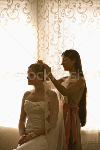 Dama de honor velo indio caucásico novia mujer Foto stock © iofoto