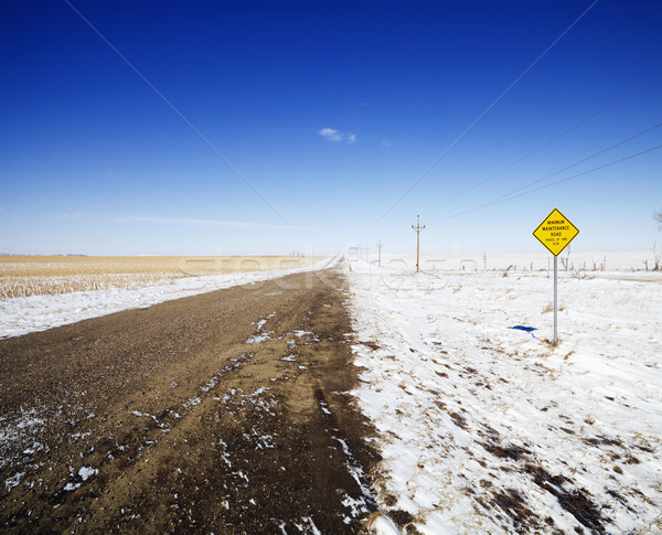 Dirt winter road. Stock photo © iofoto