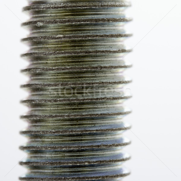 Screw close up. Stock photo © iofoto