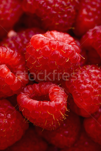 Foto stock: Rojo · frambuesas · alimentos · color · estudio