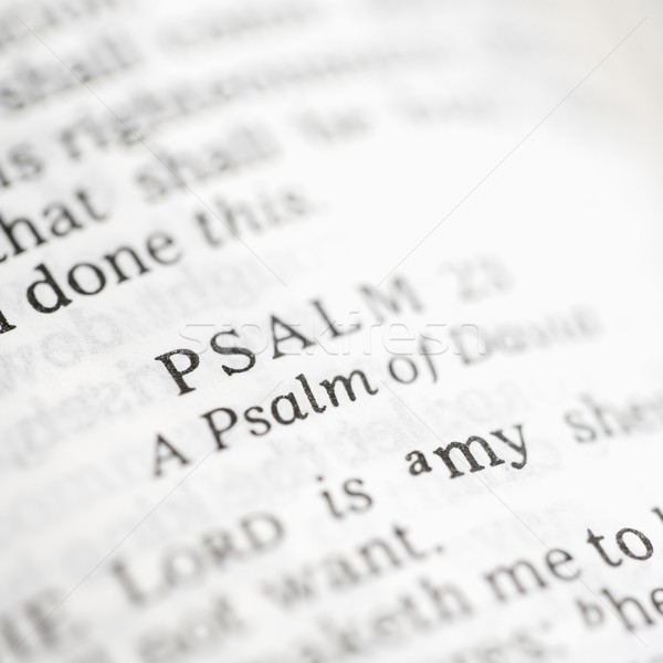 Psalm 23. Stock photo © iofoto