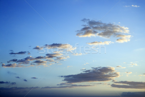 Blue sky and clouds at dusk. Stock photo © iofoto