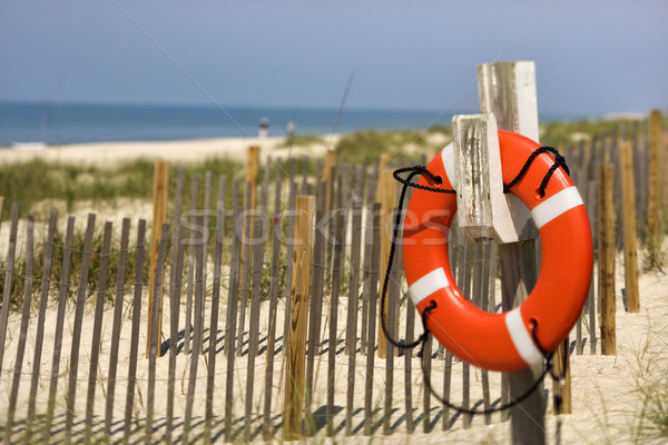 Life preserver on beach. Stock photo © iofoto