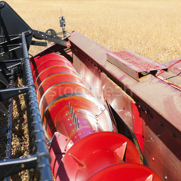 Combine harvesting soybeans. Stock photo © iofoto