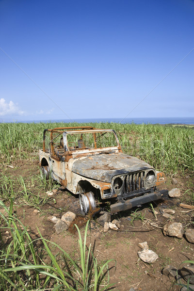 棄 汽車 場 海洋 垂直 射擊 商業照片 © iofoto