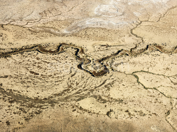 Desert and dry river. Stock photo © iofoto
