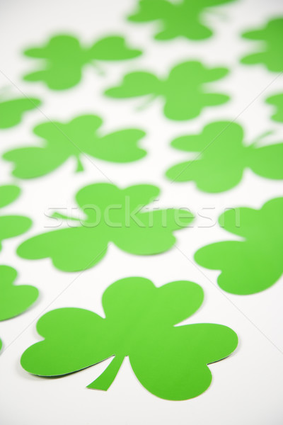 Vert papier groupe feuille trèfle couleur [[stock_photo]] © iofoto