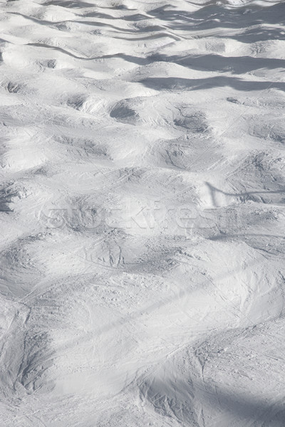 Mogul snow ski trail. Stock photo © iofoto