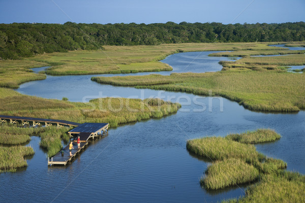 Boys on dock in marsh. Stock photo © iofoto