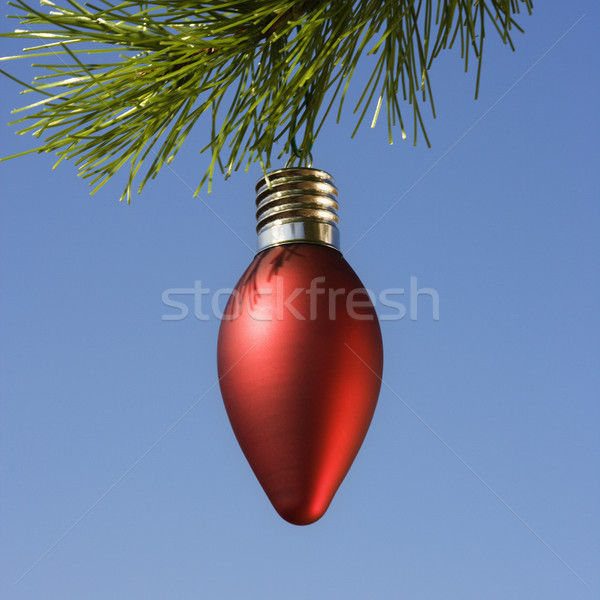 Ornament on tree. Stock photo © iofoto