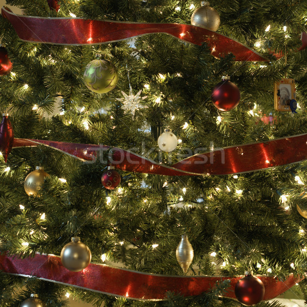 Christmas tree. Stock photo © iofoto