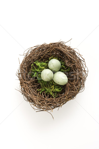 Ouă cuib studio natura moarta păsări trei Imagine de stoc © iofoto