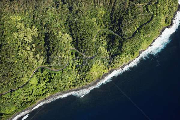 Maui coastline. Stock photo © iofoto