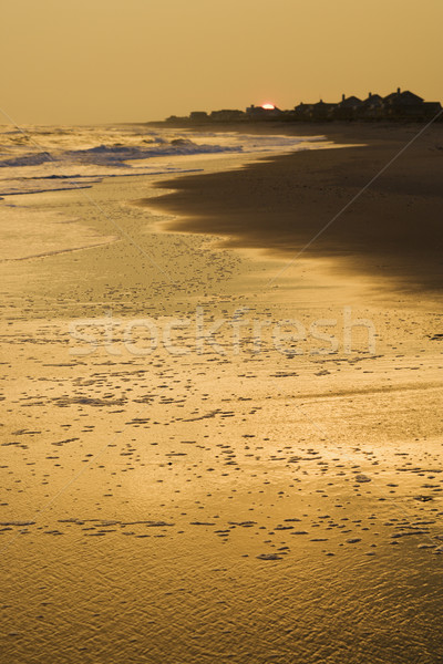 Dorado playa puesta de sol paisaje océano viaje Foto stock © iofoto