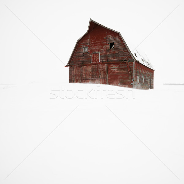 Barn in winter. Stock photo © iofoto