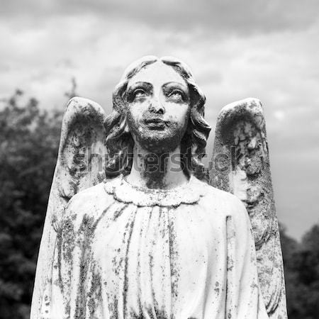 Opiekun anioł posąg cmentarz Zdjęcia stock © iofoto