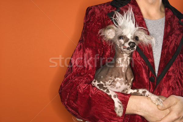 Férfi tart kínai kutya kaukázusi férfi Stock fotó © iofoto