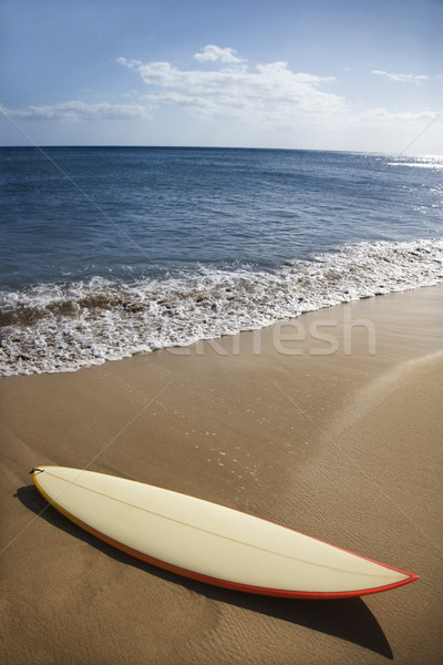 Surfboard on Maui beach. Stock photo © iofoto