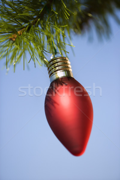 Ornament on tree. Stock photo © iofoto