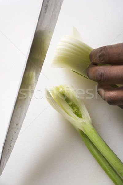 ножом фенхель мужчины рук большой Сток-фото © iofoto