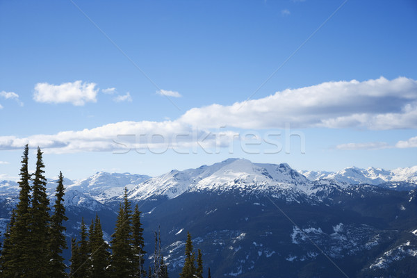 Schilderachtig berg landschap natuur sneeuw reizen Stockfoto © iofoto